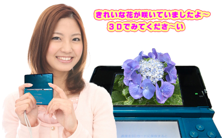 ３ＤＳのイメージ